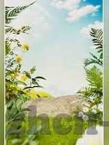 日韩电影av片-探索日韩电影的多元文化视角，从艺术到AV的跨界对话